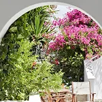 Sunrise Paros By Mr And Mrs White 4* Νάουσα