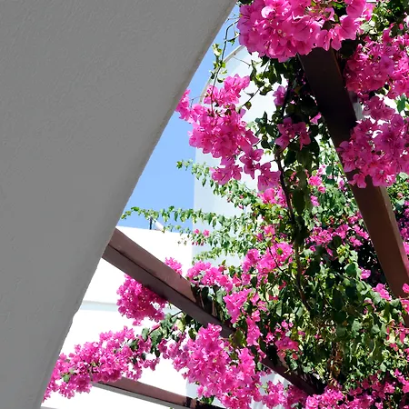 Sunrise Paros Ξενοδοχείο με διαμερίσματα 4*