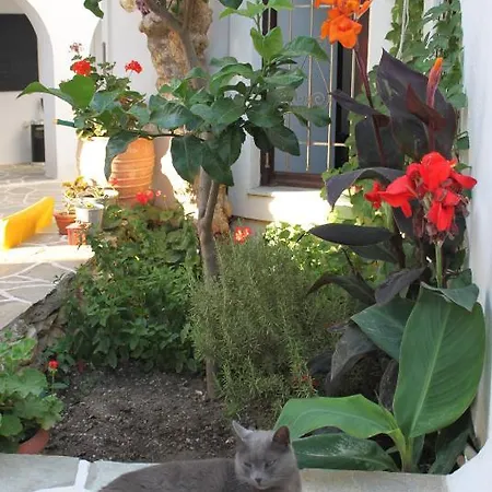 Aparthotel Sunrise Paros 4*