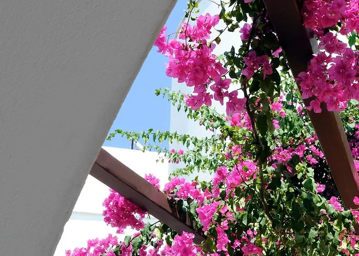 Sunrise Paros Aparthotel 4*