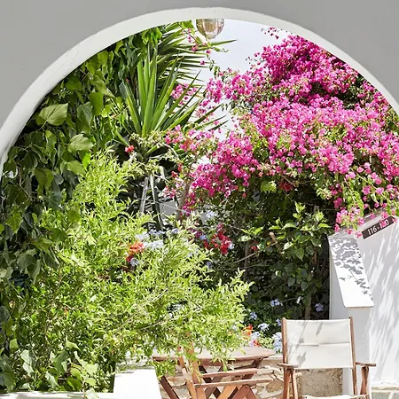 Sunrise Paros By Mr And Mrs White 4* Naousa (Paros)