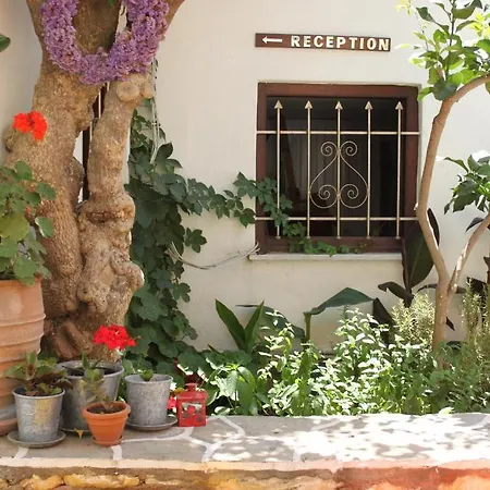 Sunrise Paros Aparthotel